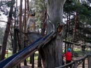 hřiště zoopark