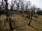 opice zoopark